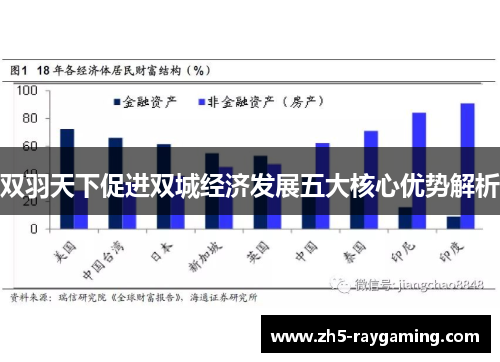 双羽天下促进双城经济发展五大核心优势解析