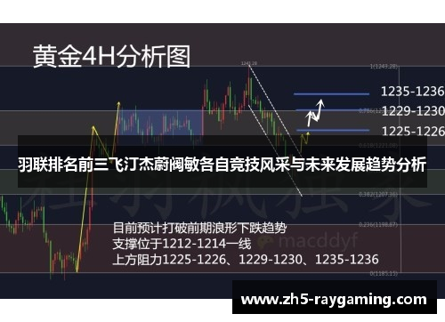 羽联排名前三飞汀杰蔚阀敏各自竞技风采与未来发展趋势分析