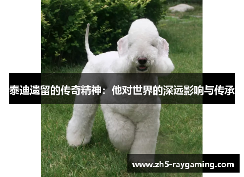 泰迪遗留的传奇精神：他对世界的深远影响与传承